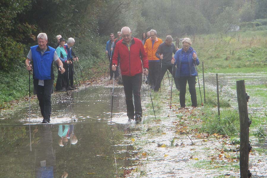 News Nordic Walking