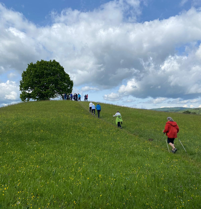 Treffpunkt Nordic Walking