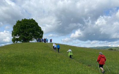 Treffpunkt Nordic Walking